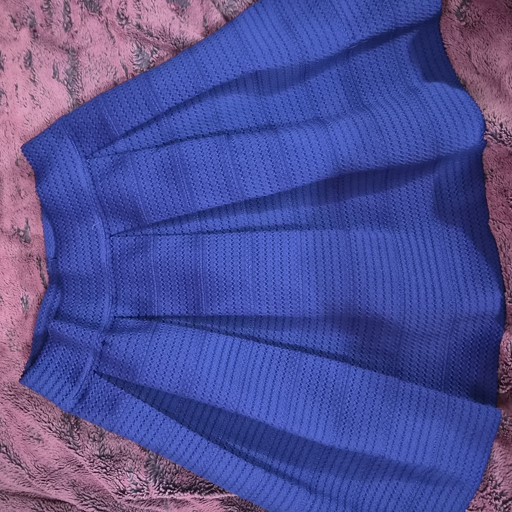 Express Small Blue Skirt
